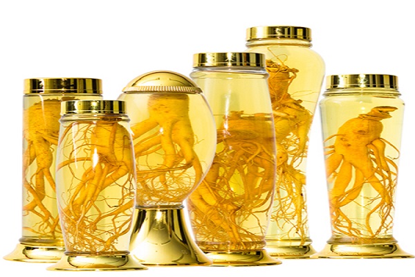 Sâm Ngọc Linh ngâm rượu