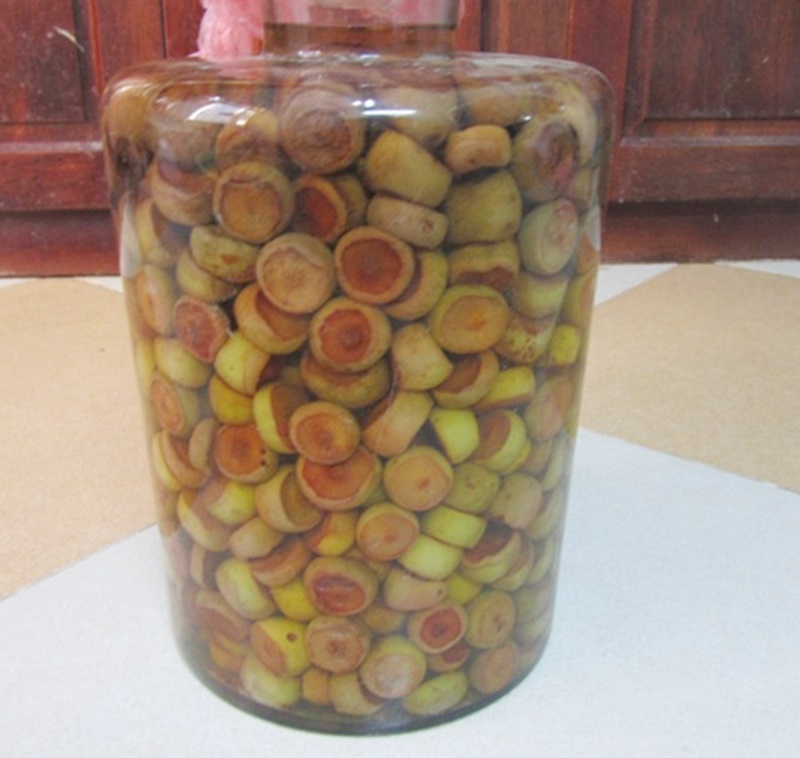 Hướng dẫn cách làm dấm táo mèo chi tiết nhất