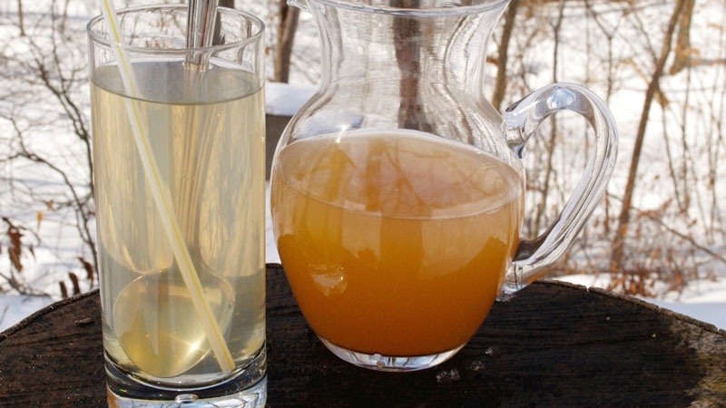 Mua dấm táo mèo ở đâu?