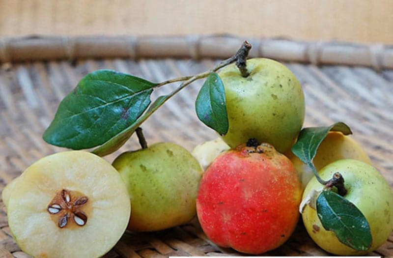 Một số lưu ý khi làm dấm táo mèo