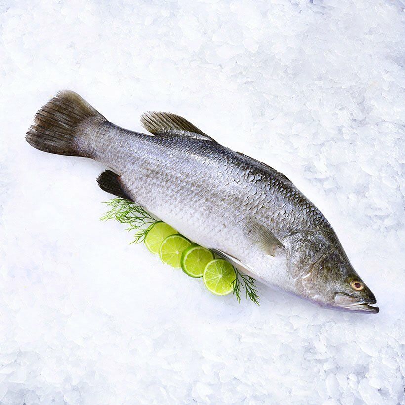 Khám phá ngay những công dụng của cá chẽm