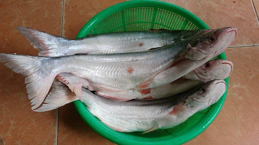 Giá trị dinh dưỡng và lợi ích sức khỏe của cá dứa