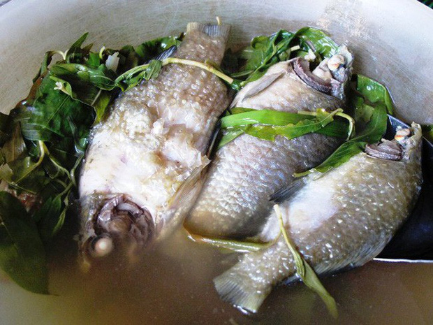 Bài thuốc chữa bệnh từ cá diếc