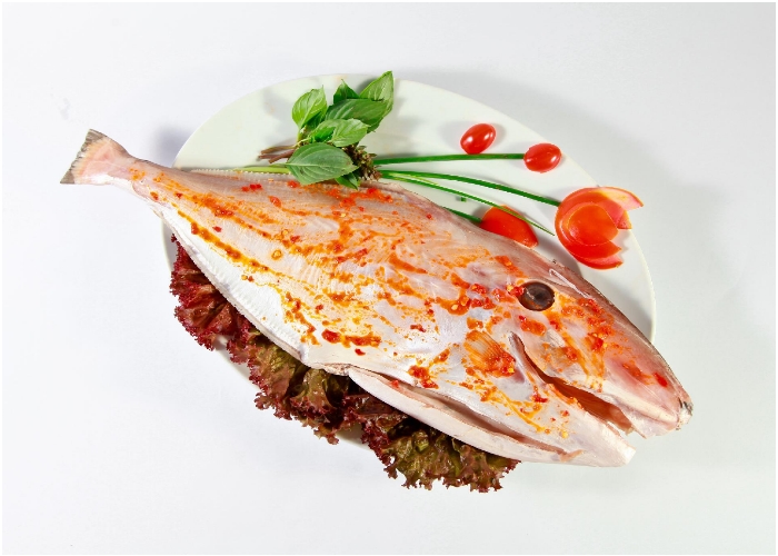 Khám phá tác dụng của cá bò