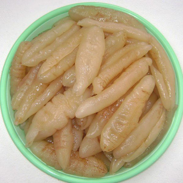 Hải sâm tươi trắng là con gì?