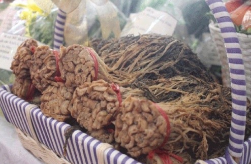 Tàu xoi là cây gì?