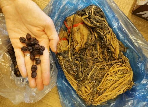 Cửa hàng bán tàu xoi giá tốt nhất thị trường