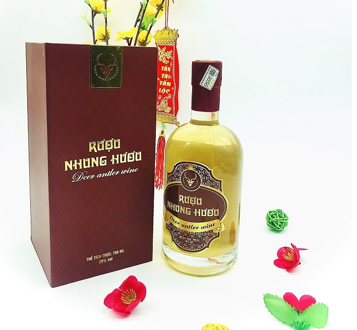 Hướng dẫn sử dụng rượu ngâm nhung hươu