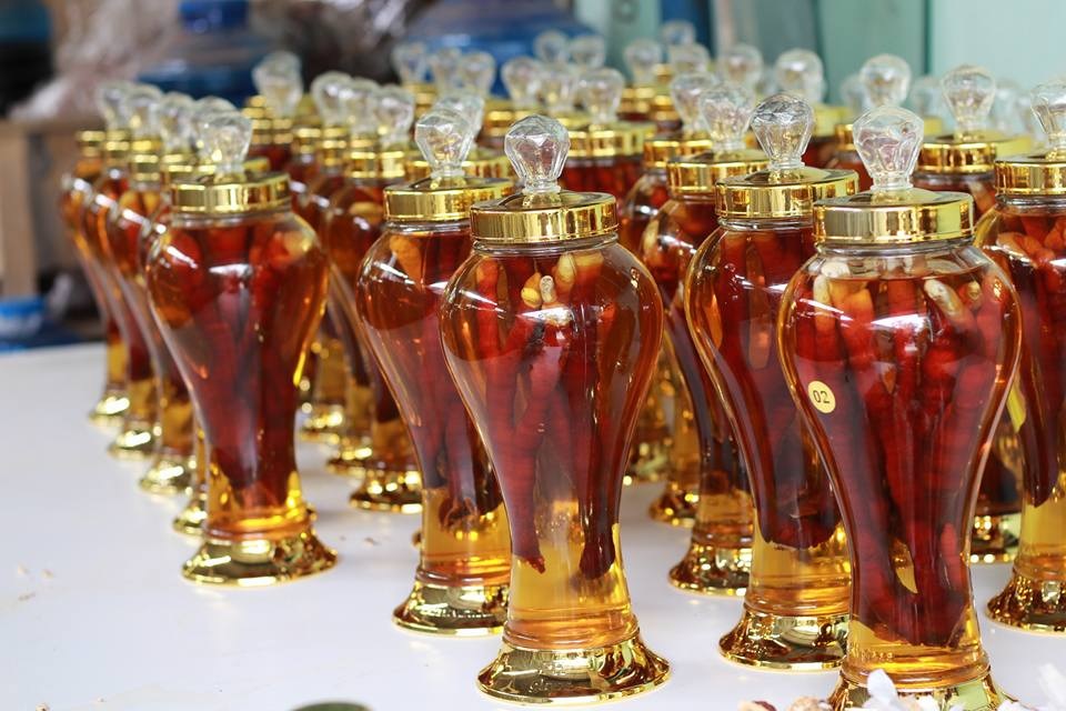 Mua rượu ngâm nhung hươu Hà Tĩnh ở đâu?