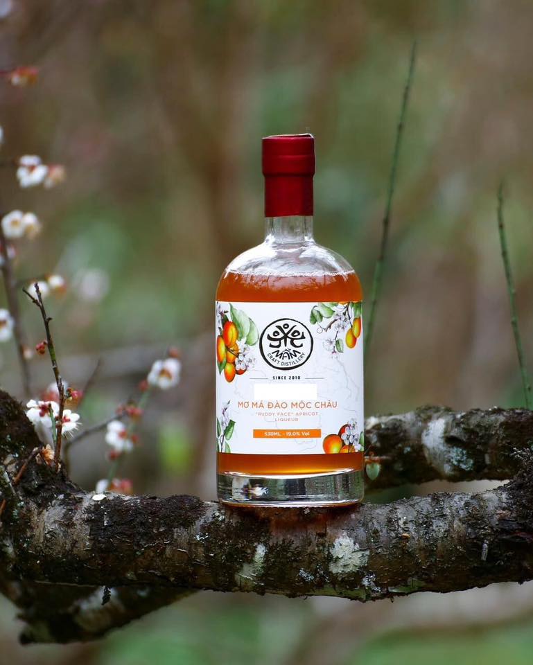 Bảo quản rượu vị mơ như thế nào?