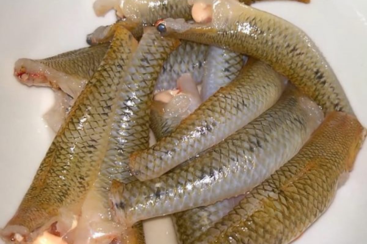 Cách làm cá bống kho tương: