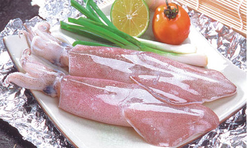 cá mực tốt cho sức khỏe