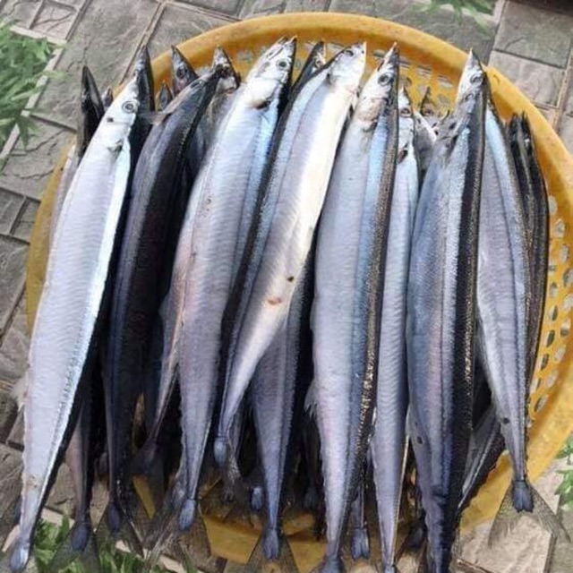 Nguồn gốc của cá Kìm