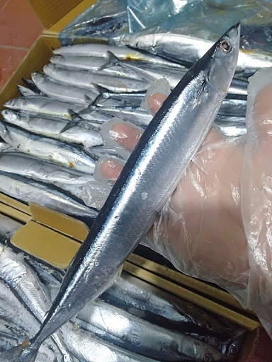 Lợi ích khi ăn cá kìm 