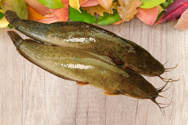 Nguyên liệu làm món cá trê kho riềng